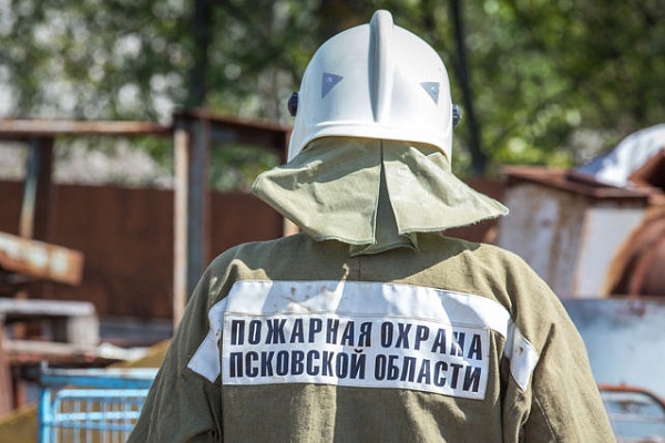 ��������� �������� ������� ��������� ����������� ���� ���������