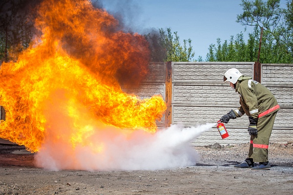 ��������� �������� ������� ��������� ����������� ���� ���������